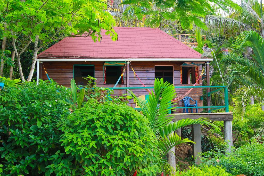 Manchioneal Zion Country Bed & Breakfast 部屋 写真