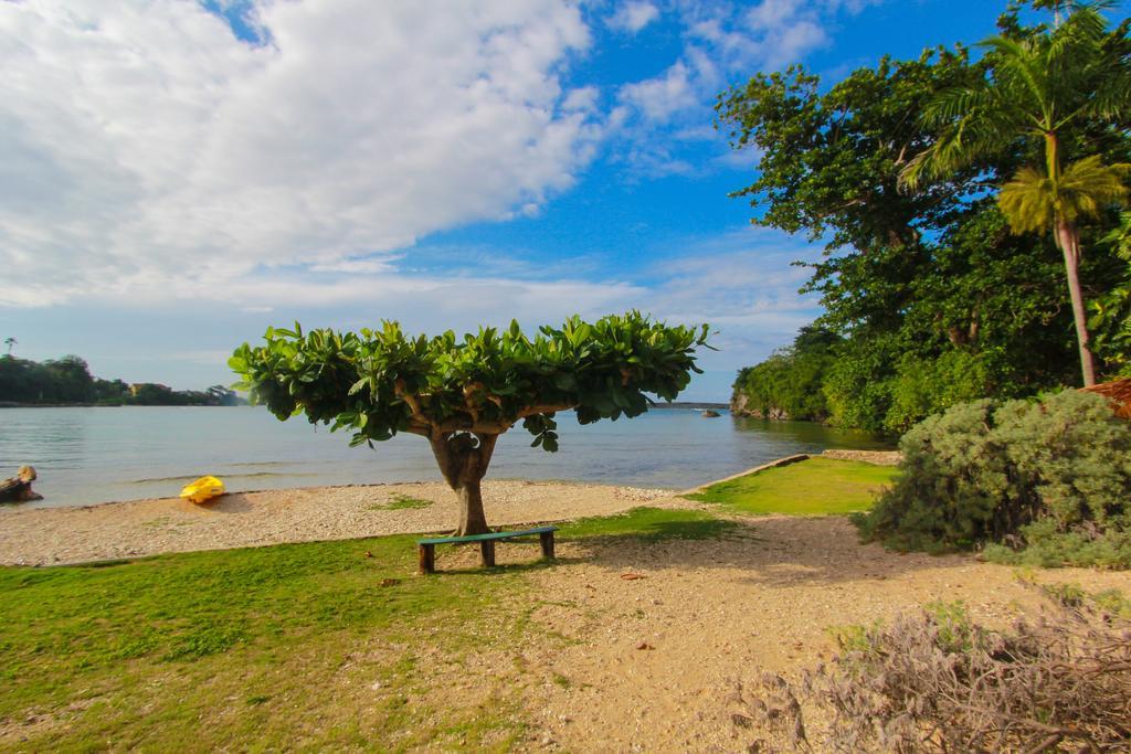 Manchioneal Zion Country Bed & Breakfast エクステリア 写真