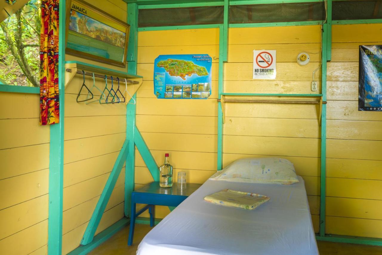 Manchioneal Zion Country Bed & Breakfast エクステリア 写真